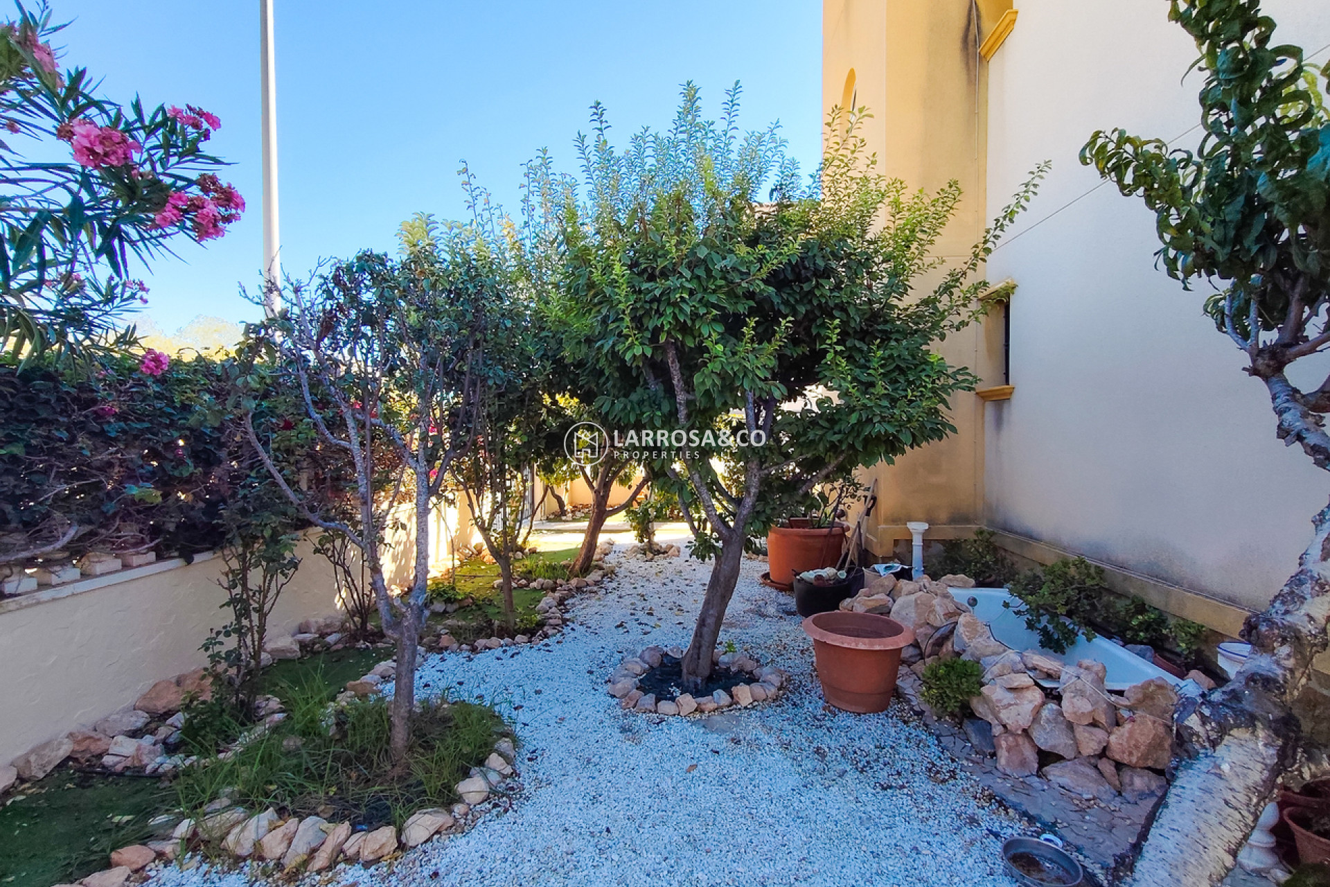 Resale - Apartment - Cabo Roig - Costa blanca
