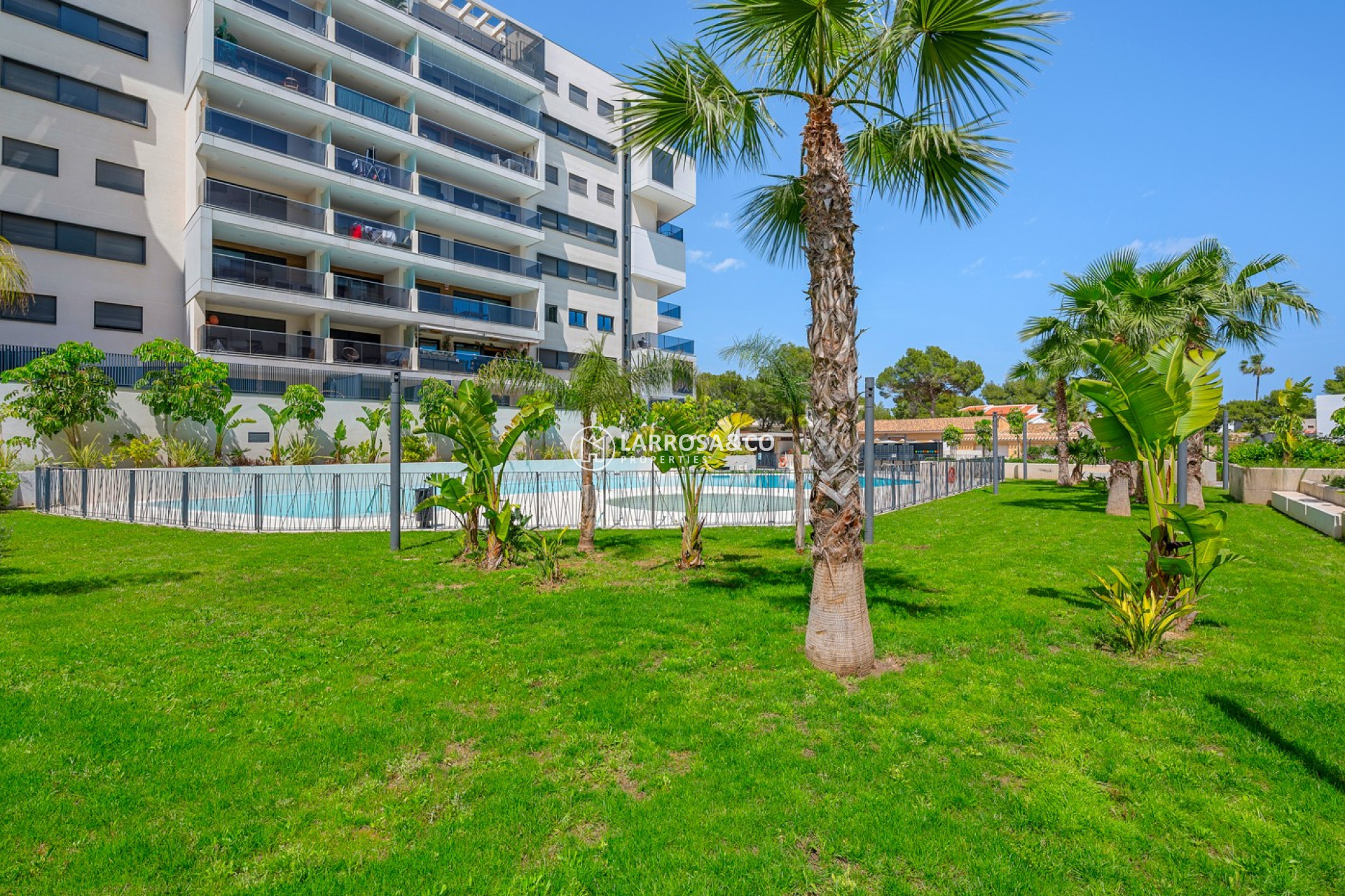 Resale - Apartment - Dehesa de Campoamor - Costa Blanca