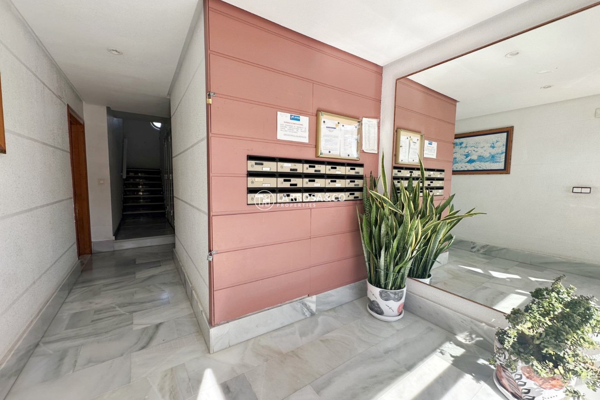 Resale - Apartment / Duplex - Torrevieja - Cala del palangre