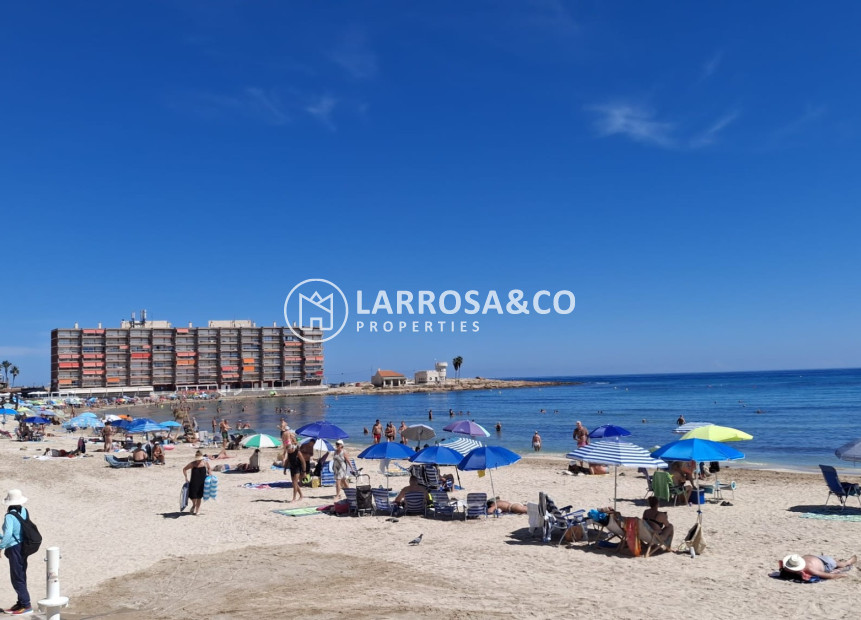 Resale - Apartment / Duplex - Torrevieja - Playa de los locos