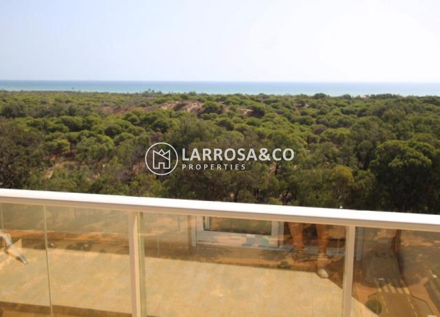Resale - Apartment - Guardamar del Segura - Avenida del Puerto