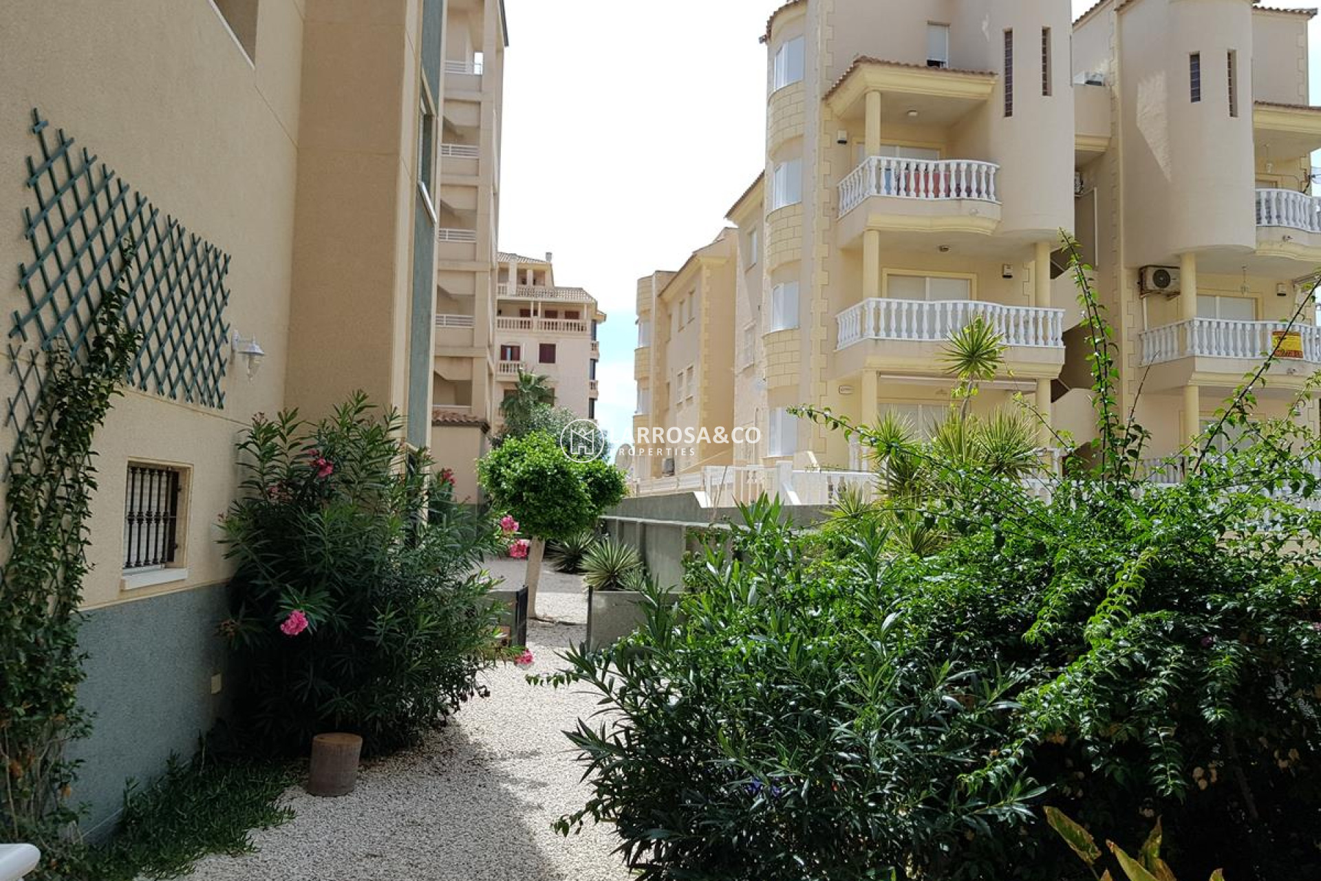 resale-apartment-guardamar-del-segura-beach-garden-rv2085   