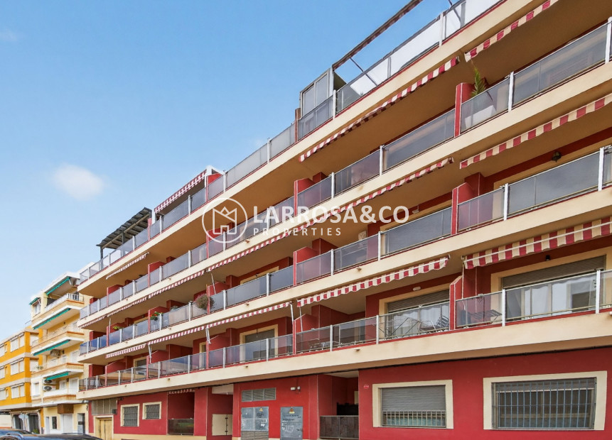 Resale - Apartment - Guardamar del Segura - Centro