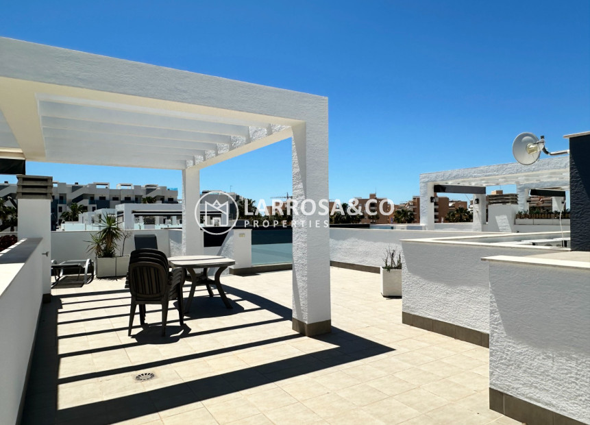 Resale - Apartment - Guardamar del Segura - Costa Blanca