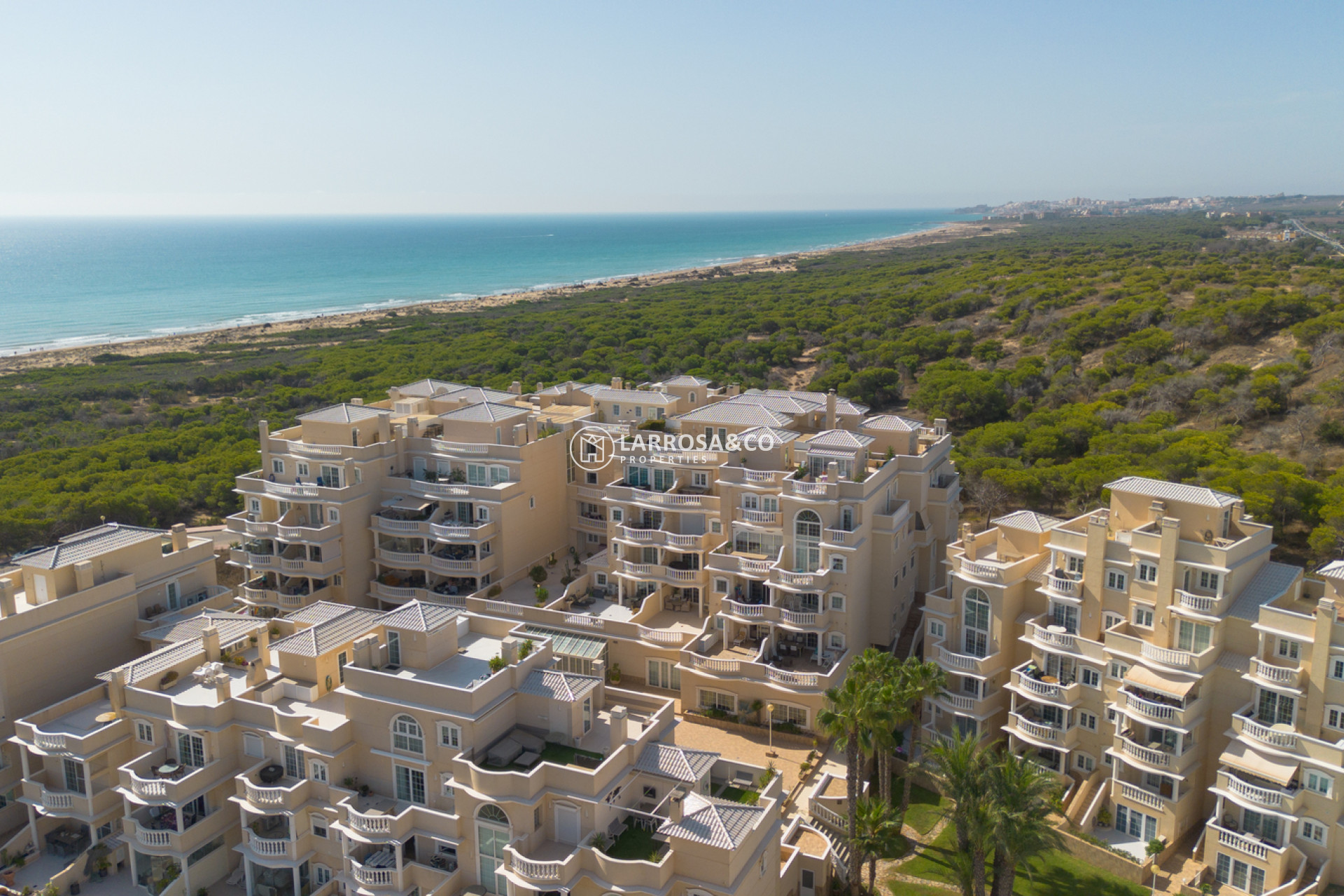 Resale - Apartment - Guardamar del Segura - Costa Blanca