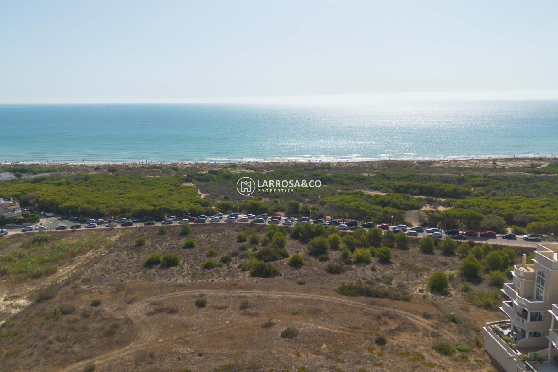 Resale - Apartment - Guardamar del Segura - Costa Blanca