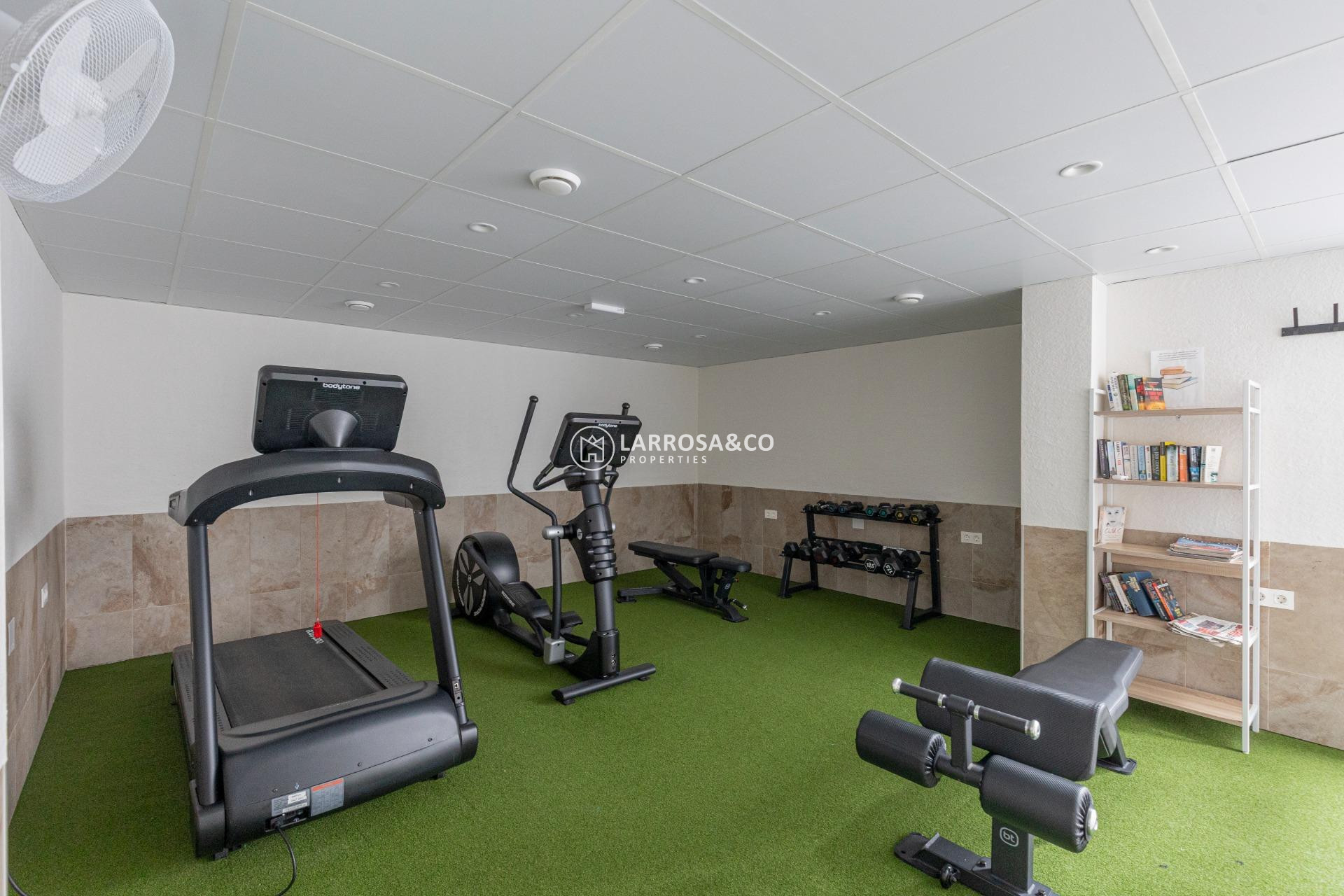 Resale - Apartment - Guardamar del Segura - El Raso