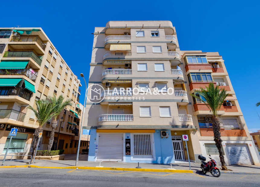 Resale - Apartment - Guardamar del Segura - Pueblo