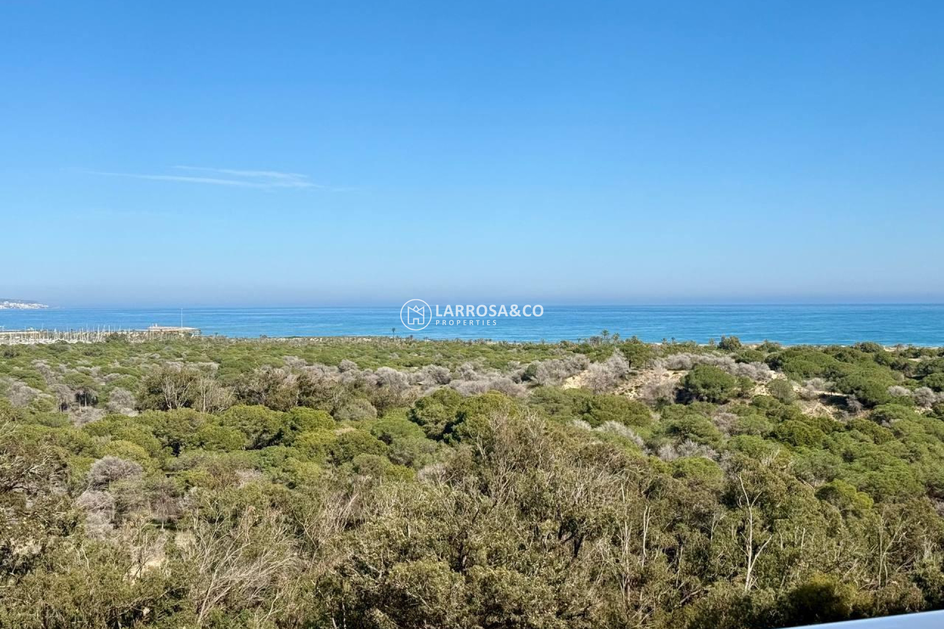 Resale - Apartment - Guardamar del Segura - Puerto