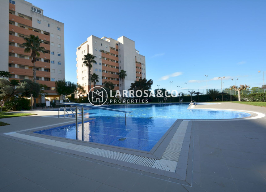 Resale - Apartment - Guardamar del Segura - SUP 7