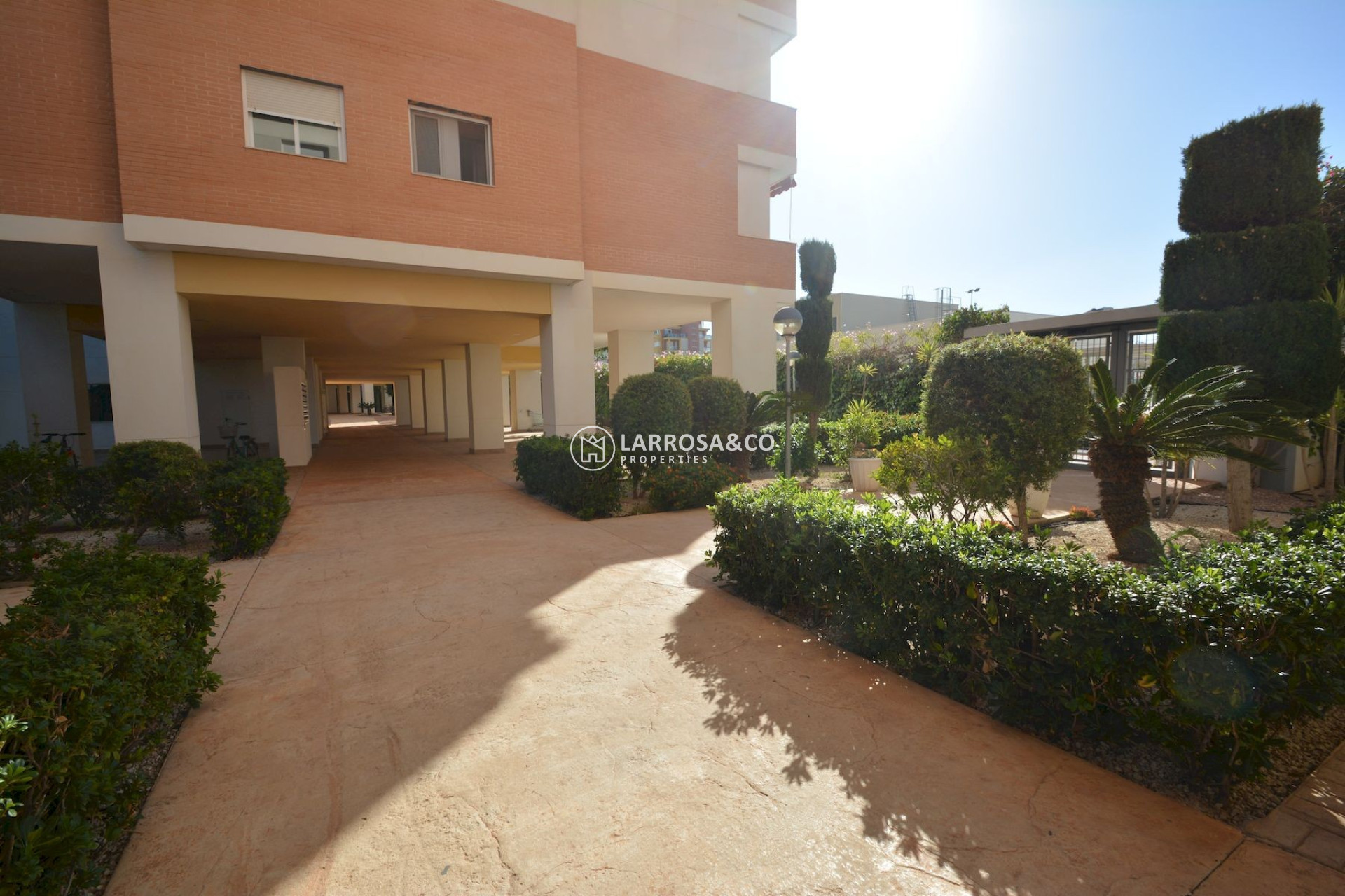Resale - Apartment - Guardamar del Segura - SUP 7
