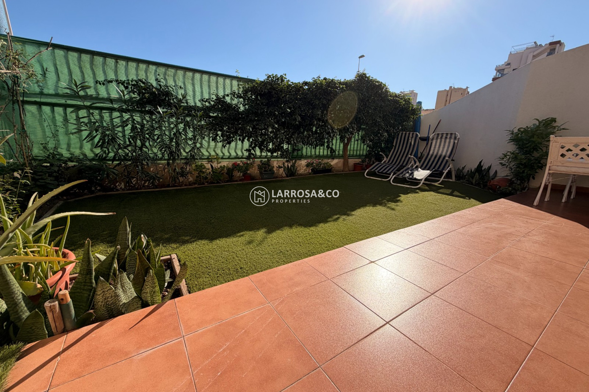 Resale - Apartment - Guardamar del Segura - SUP 7