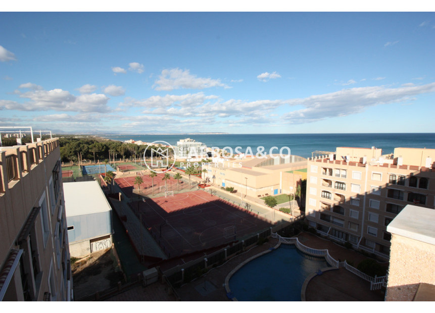 Resale - Apartment - Guardamar del Segura