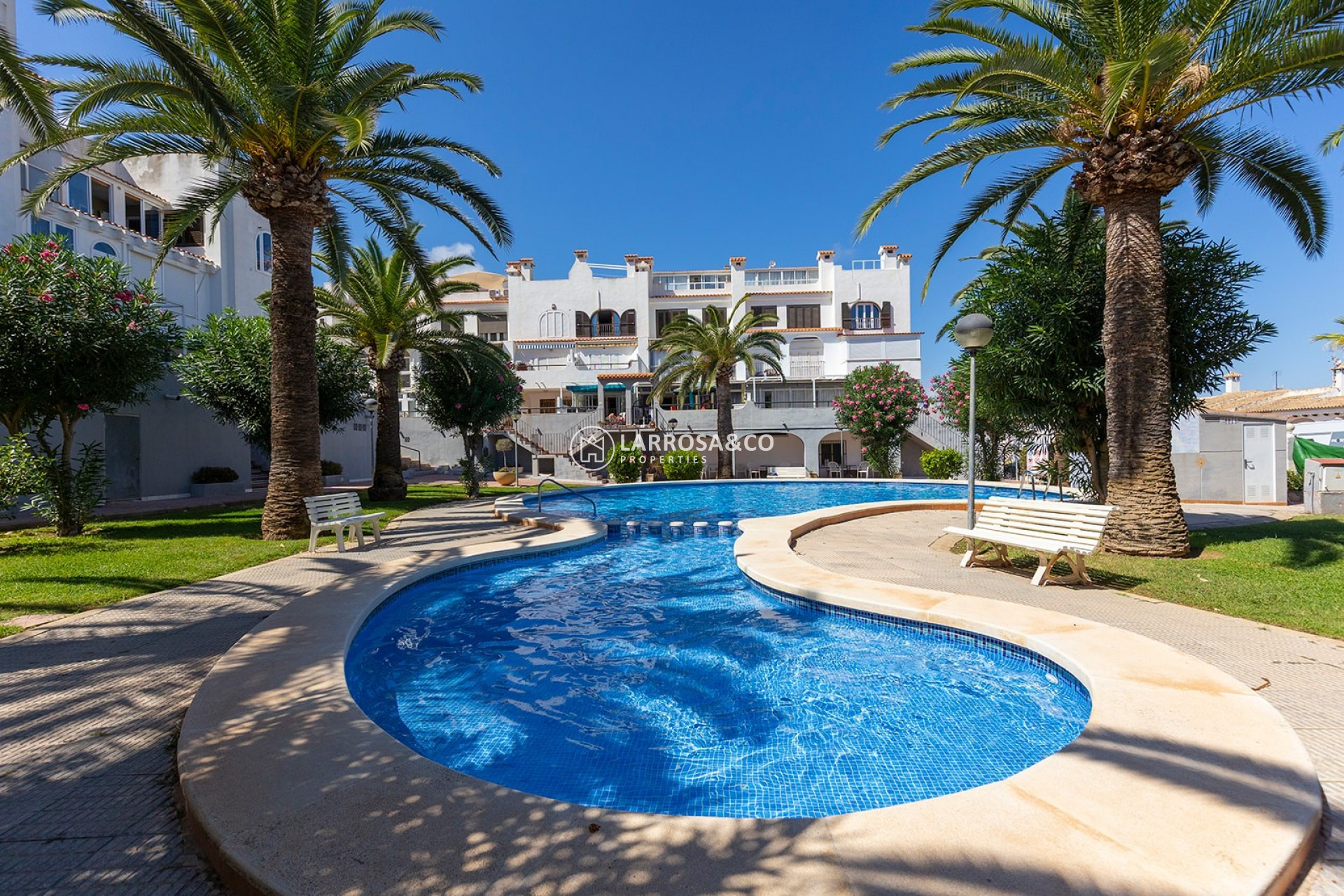 Resale - Apartment - La Mata - Costa Blanca