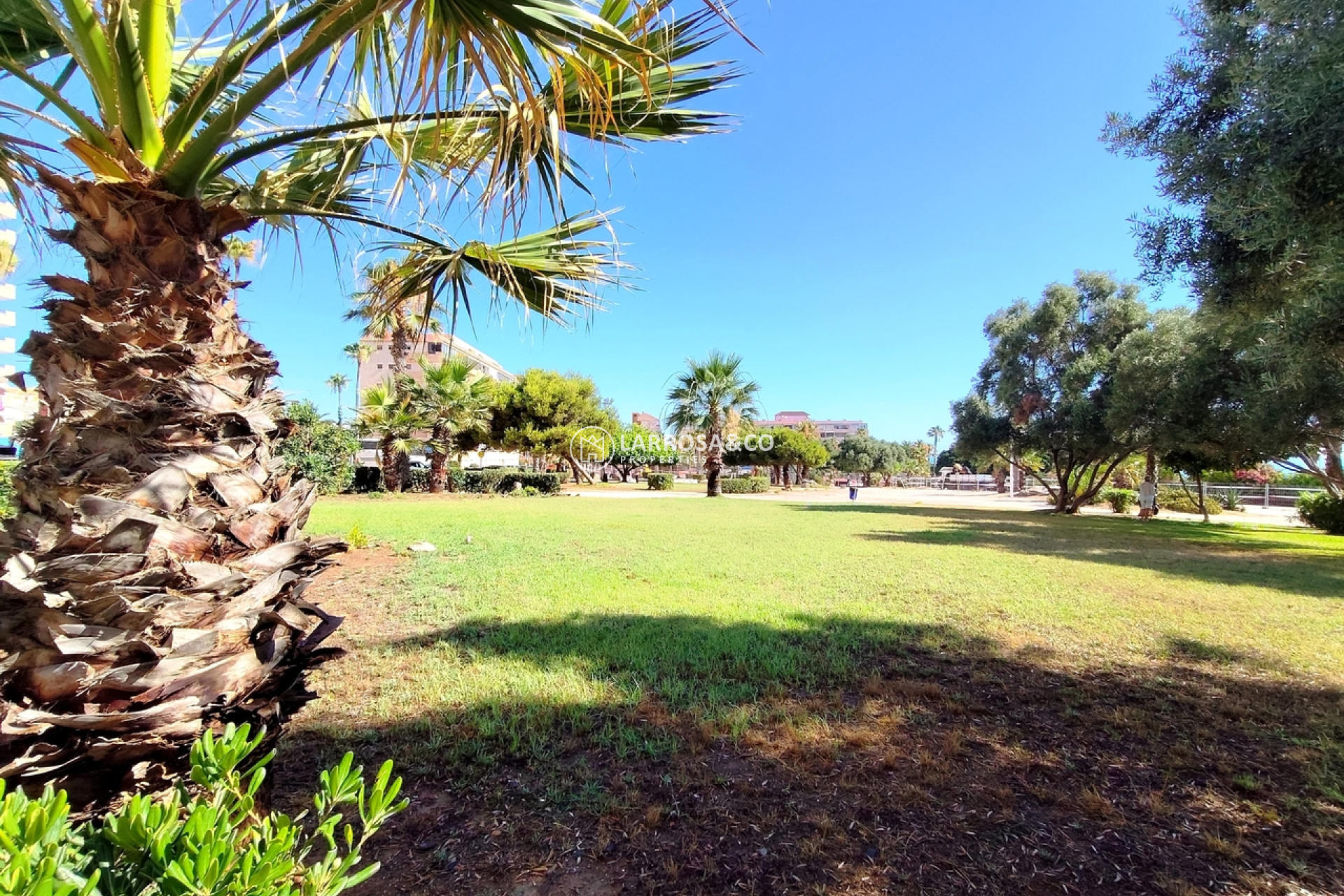 Resale - Apartment - La Mata - Costa Blanca