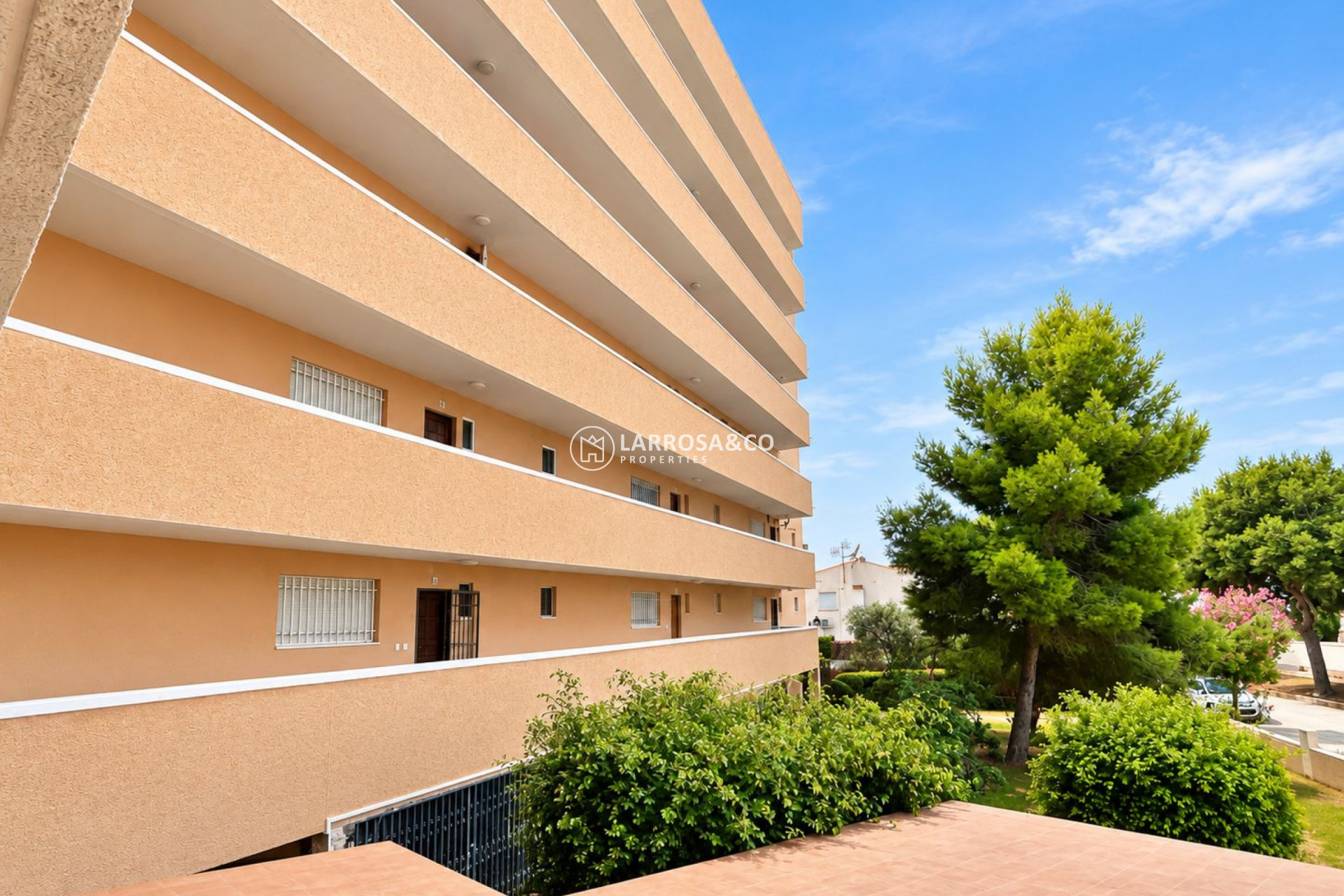 Resale - Apartment - La Zenia - Costa Blanca