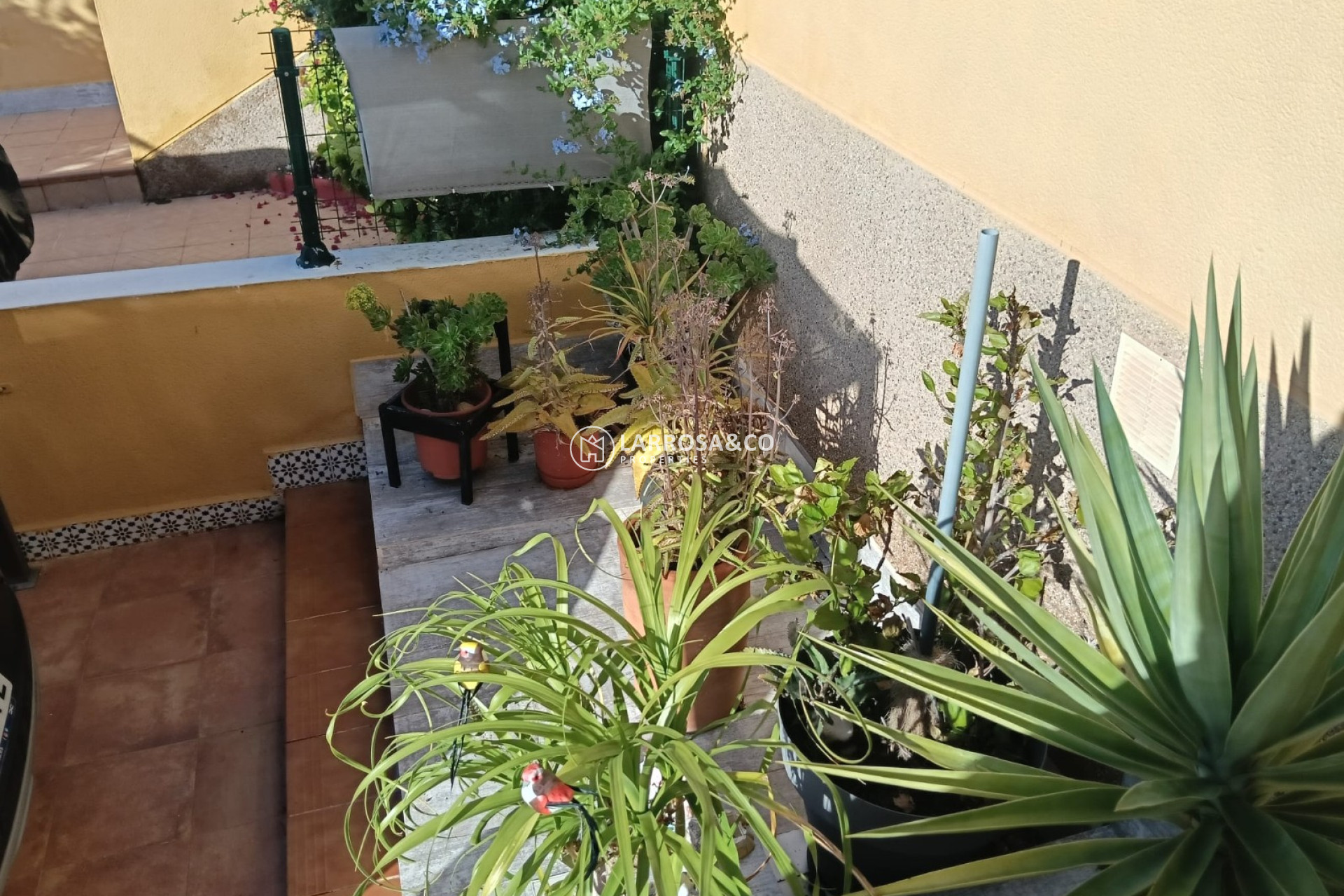 Resale - Apartment - Los Montesinos - Costa Blanca
