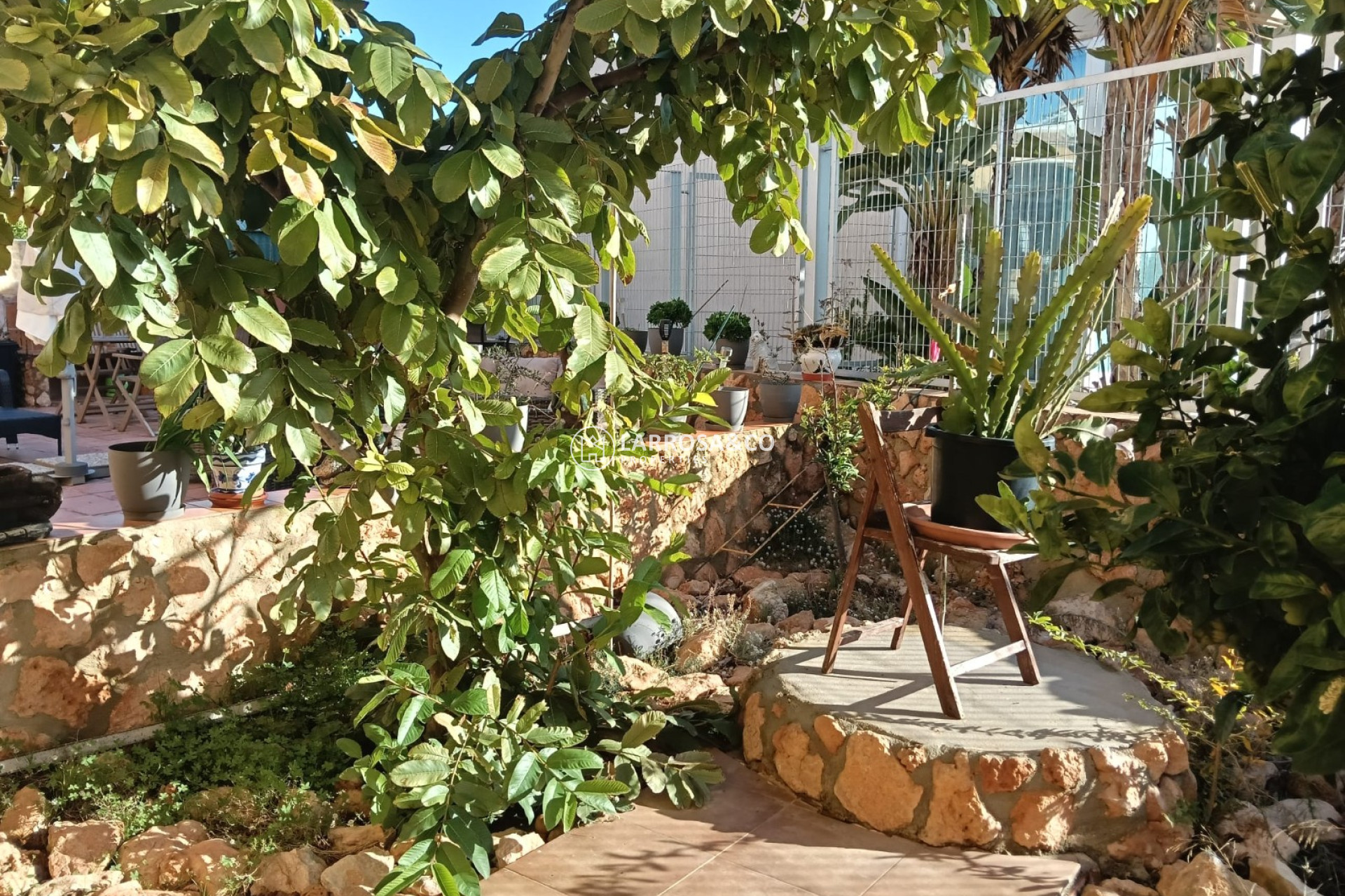 Resale - Apartment - Los Montesinos - Costa Blanca