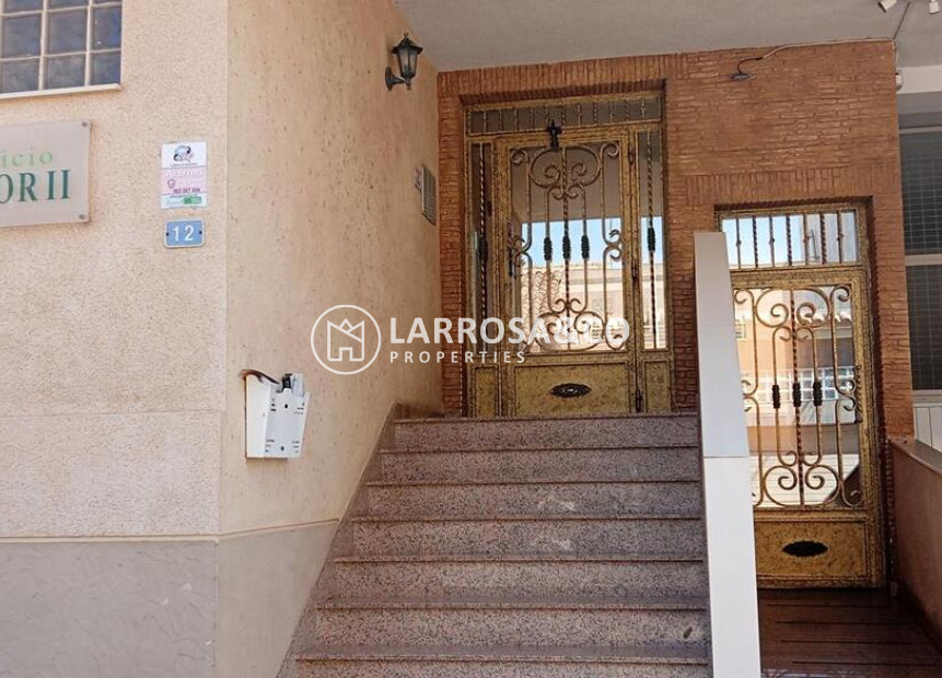 Resale - Apartment - Los Montesinos - PUEBLO CENTRO