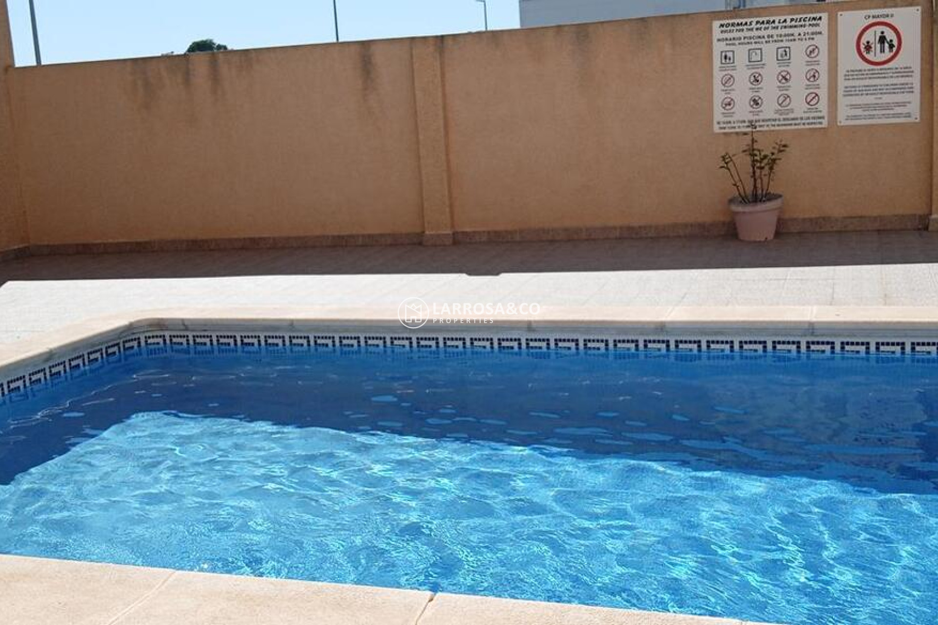 Resale - Apartment - Los Montesinos - PUEBLO CENTRO