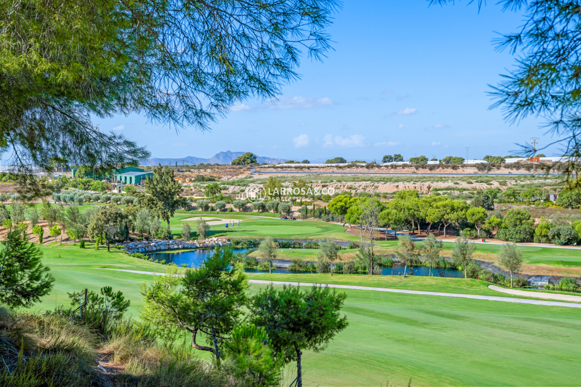 Resale - Apartment - Pilar de la Horadada - Lo Romero Golf