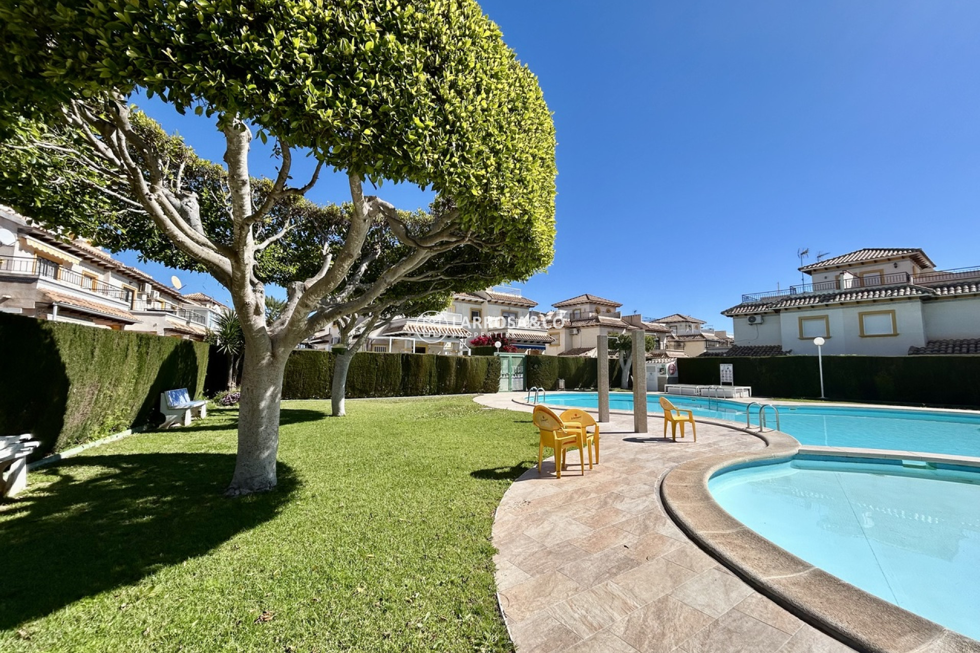 Resale - Apartment - Punta Prima - Costa Blanca