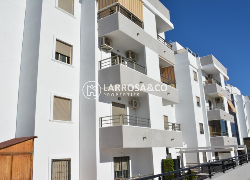 Resale - Apartment - San Miguel de Salinas - Costa Blanca