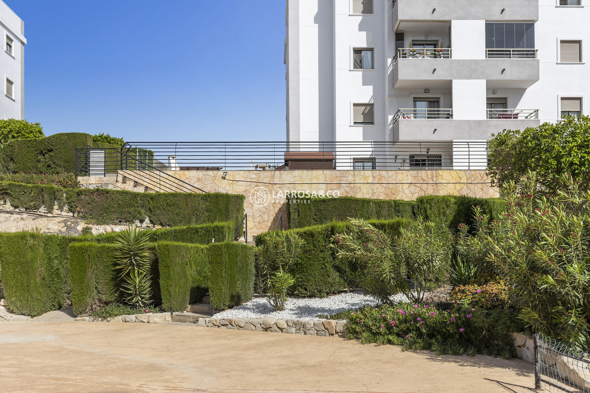 Resale - Apartment - San Miguel de Salinas - Inland