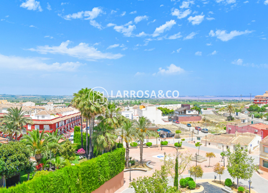 Resale - Apartment - San Miguel de Salinas - Inland