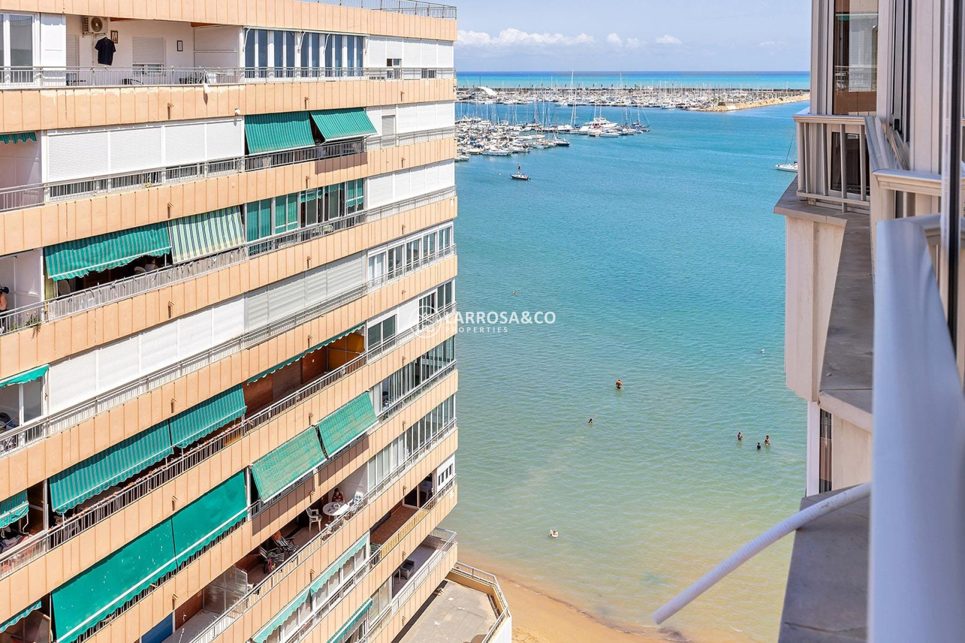 Resale - Apartment - Torrevieja - Acequion