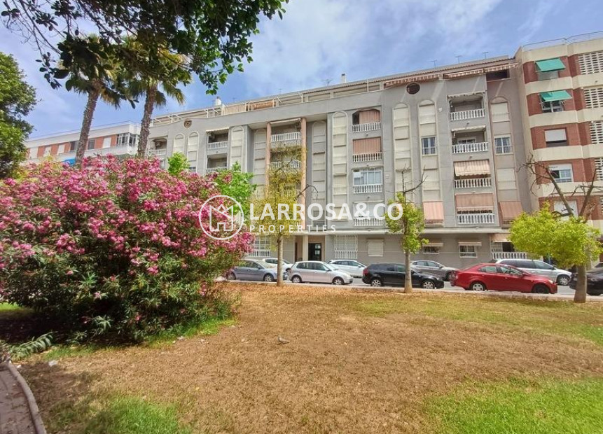 Resale - Apartment - Torrevieja - Acequion