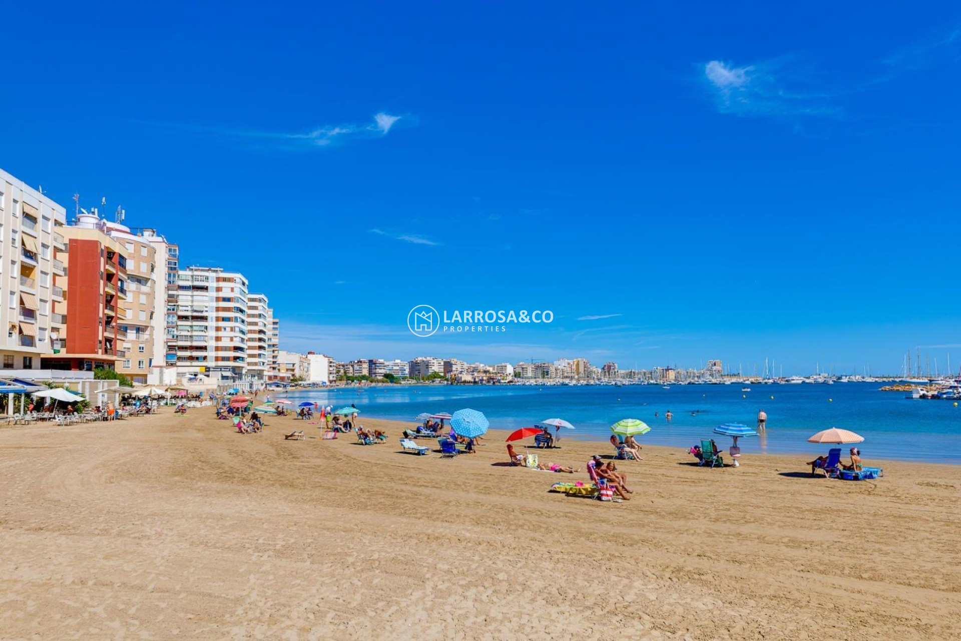Resale - Apartment - Torrevieja - Acequion