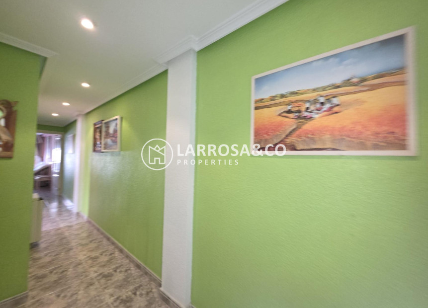 Resale - Apartment - Torrevieja - Acequion