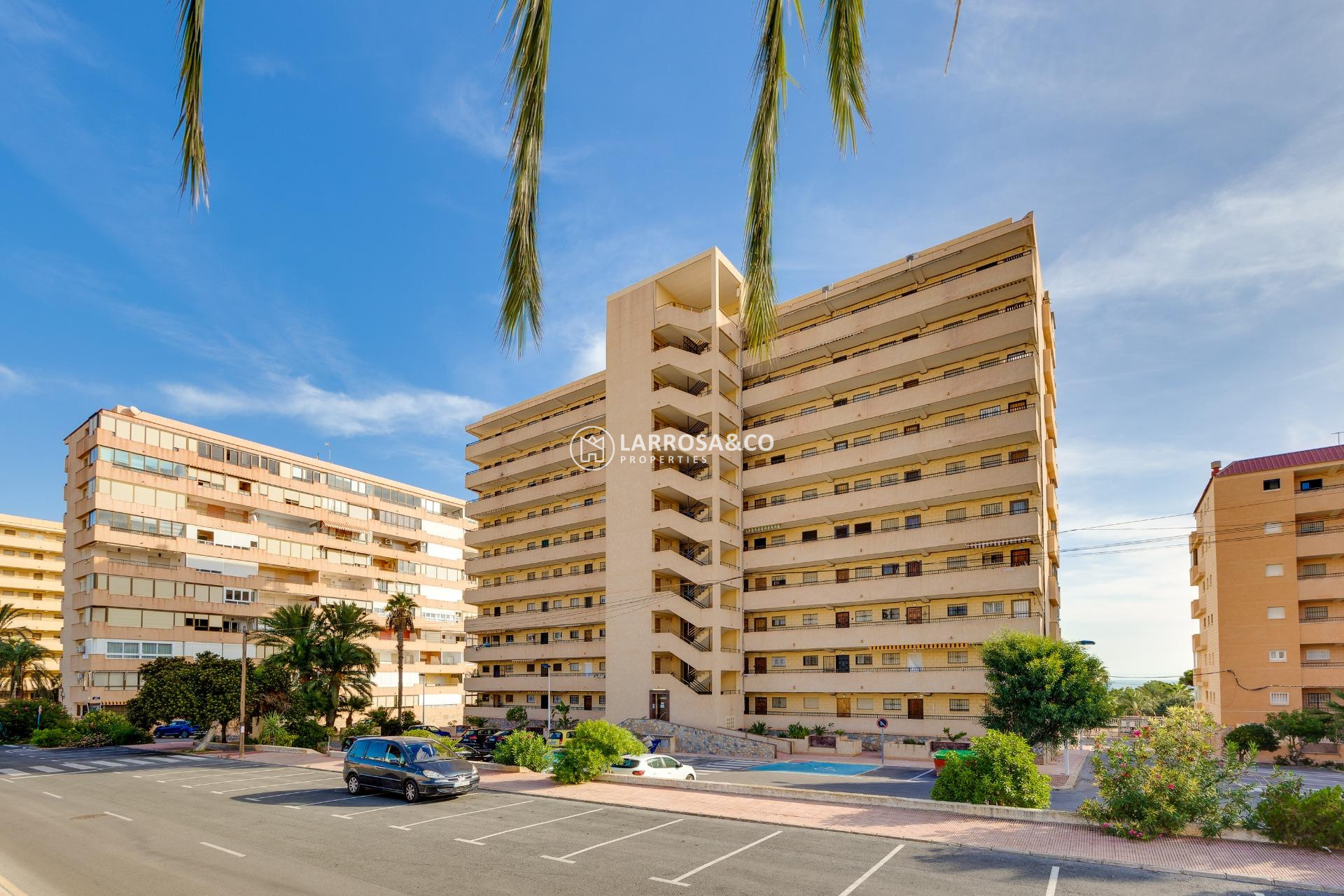 Resale - Apartment - Torrevieja - Cabo cervera