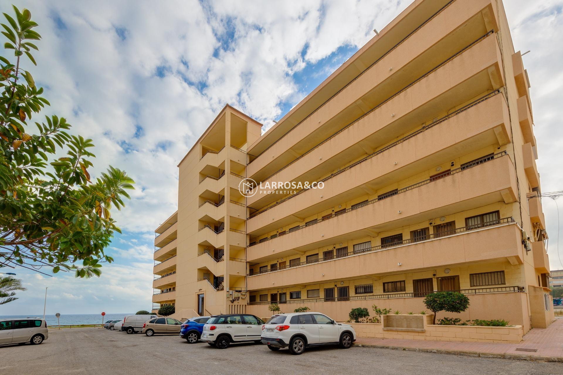 Resale - Apartment - Torrevieja - Cabo cervera