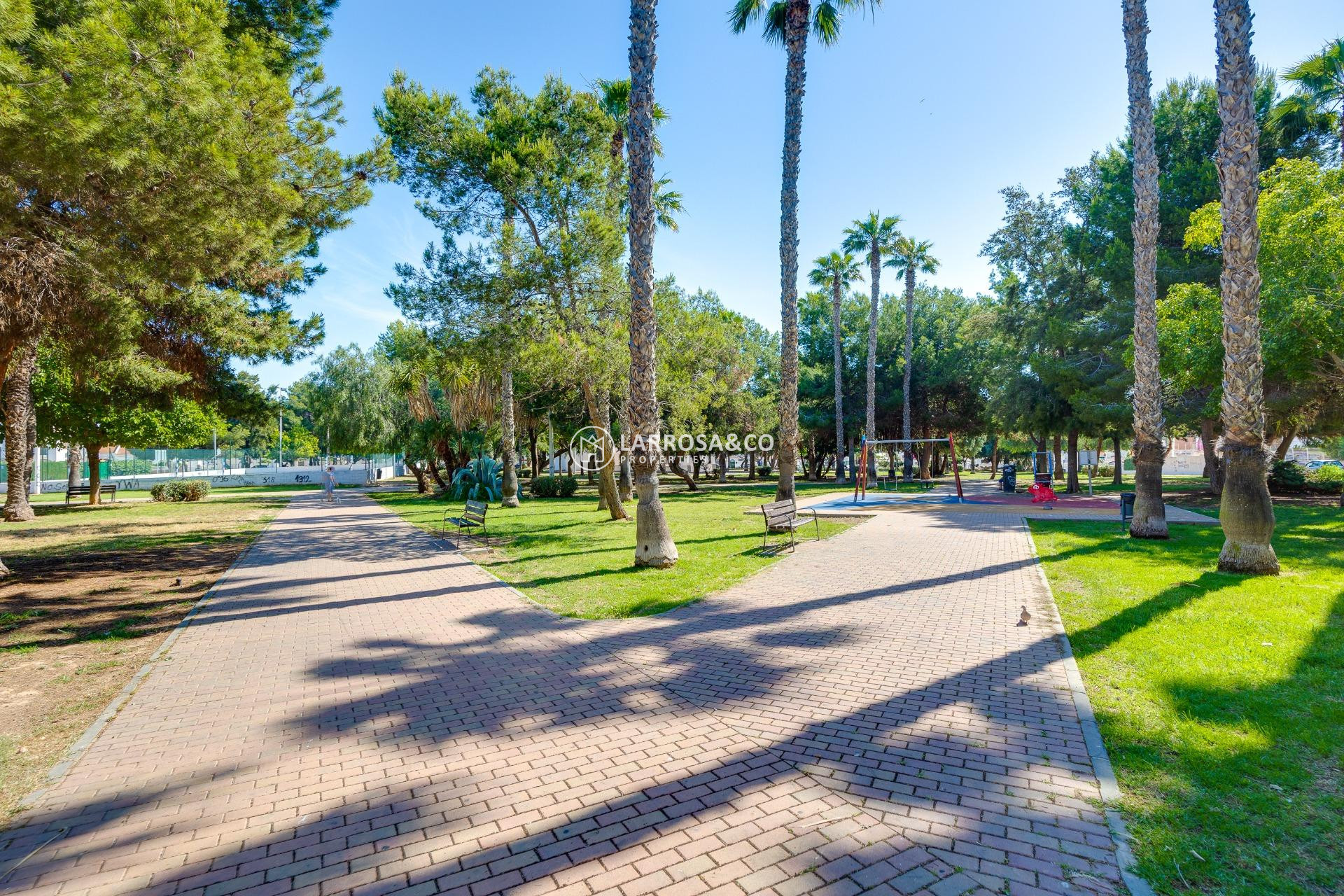 Resale - Apartment - Torrevieja - Calas blanca