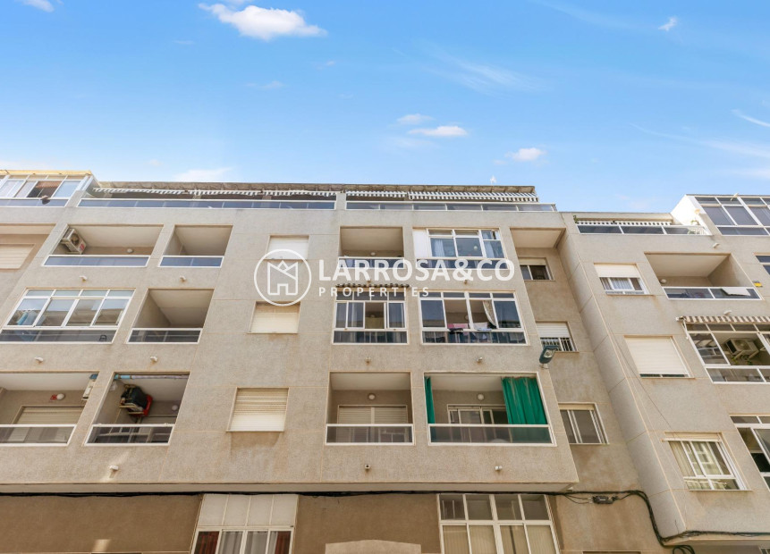 Resale - Apartment - Torrevieja - Centro - Muelle Pesquero