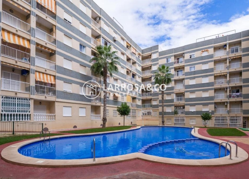 Resale - Apartment - Torrevieja - Centro