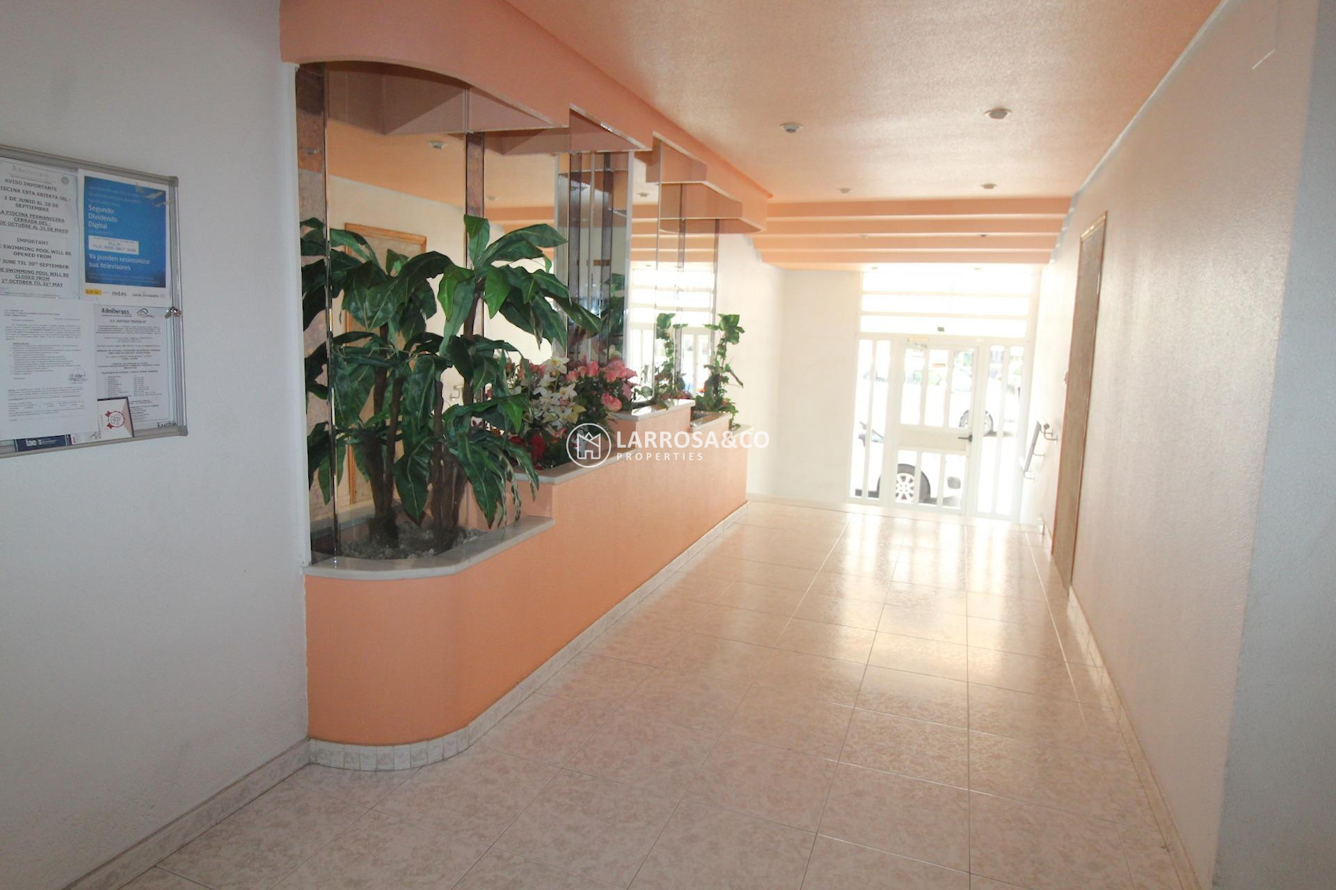 Resale - Apartment - Torrevieja - Curva del Palangre