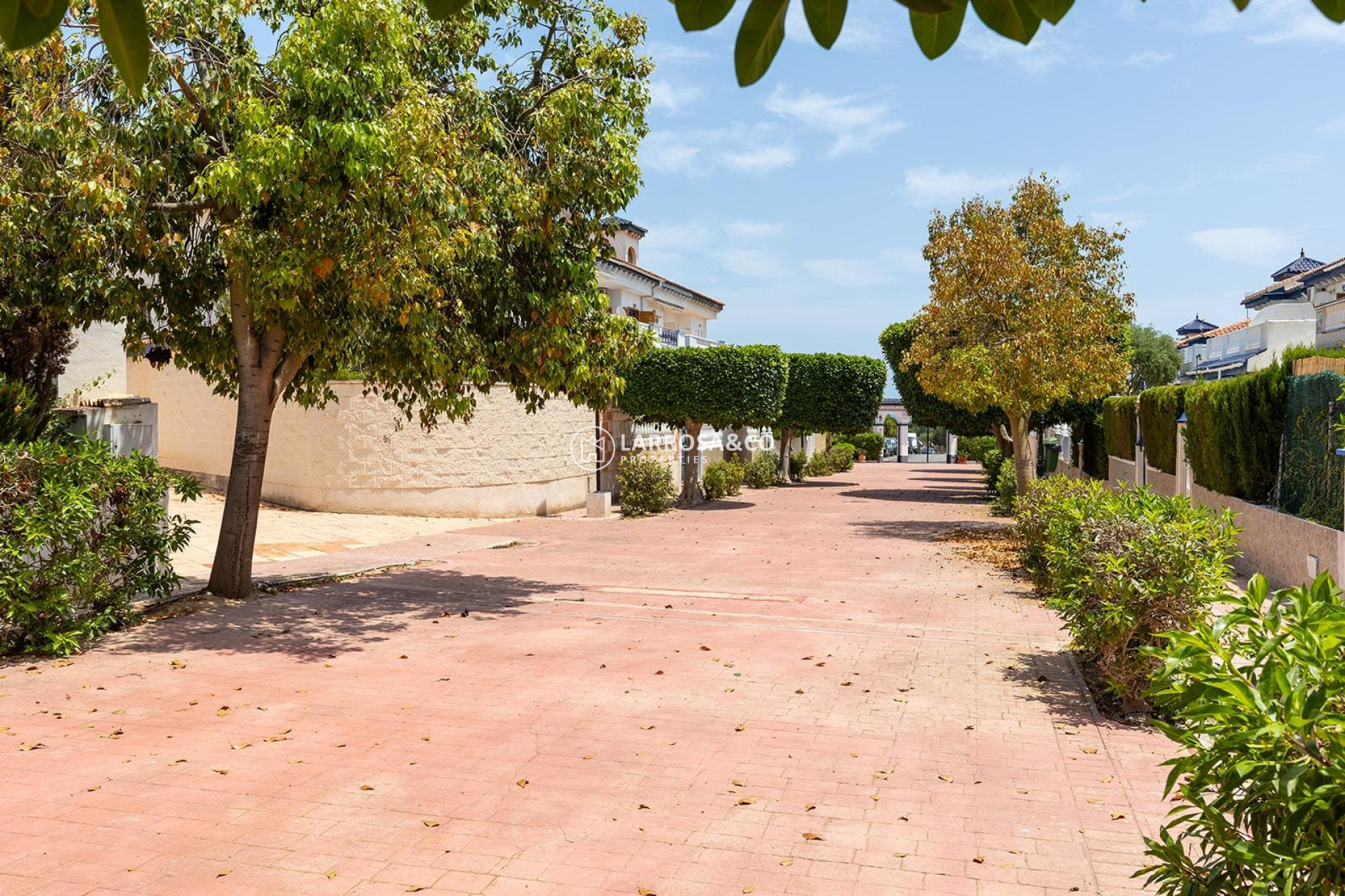 Resale - Apartment - Torrevieja - Estacion de autobuses