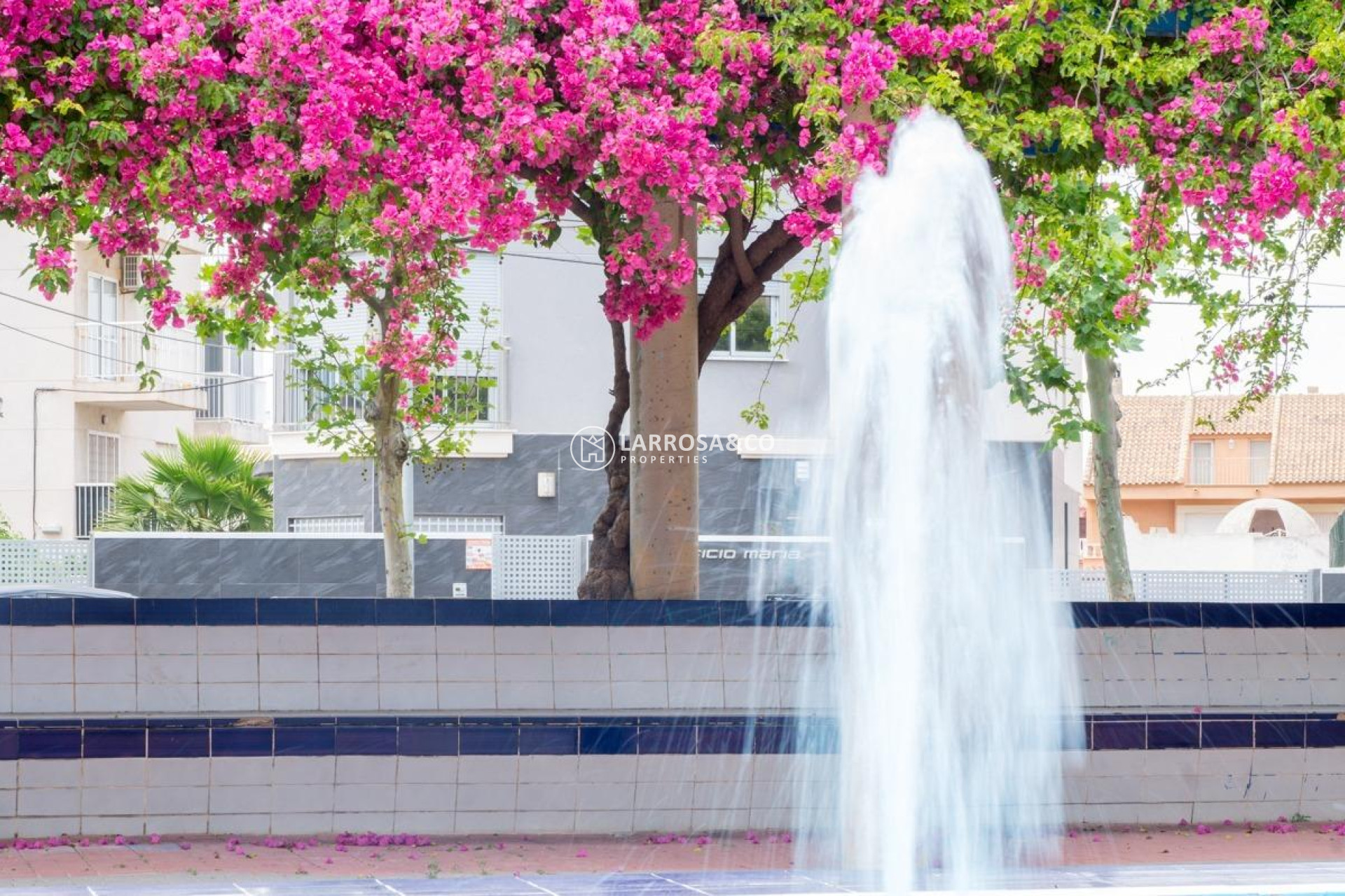 Resale - Apartment - Torrevieja - Estacion de autobuses