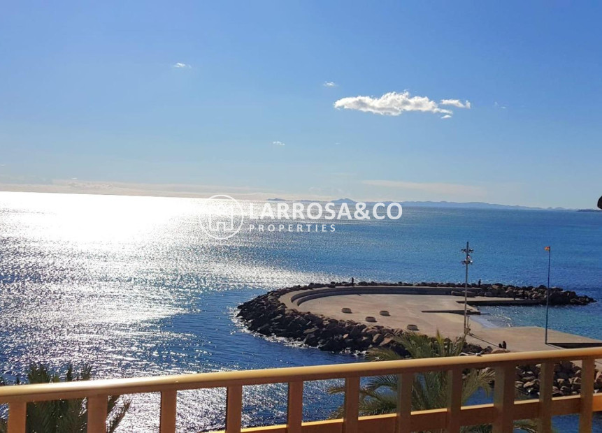 Resale - Apartment - Torrevieja - Estacion de autobuses