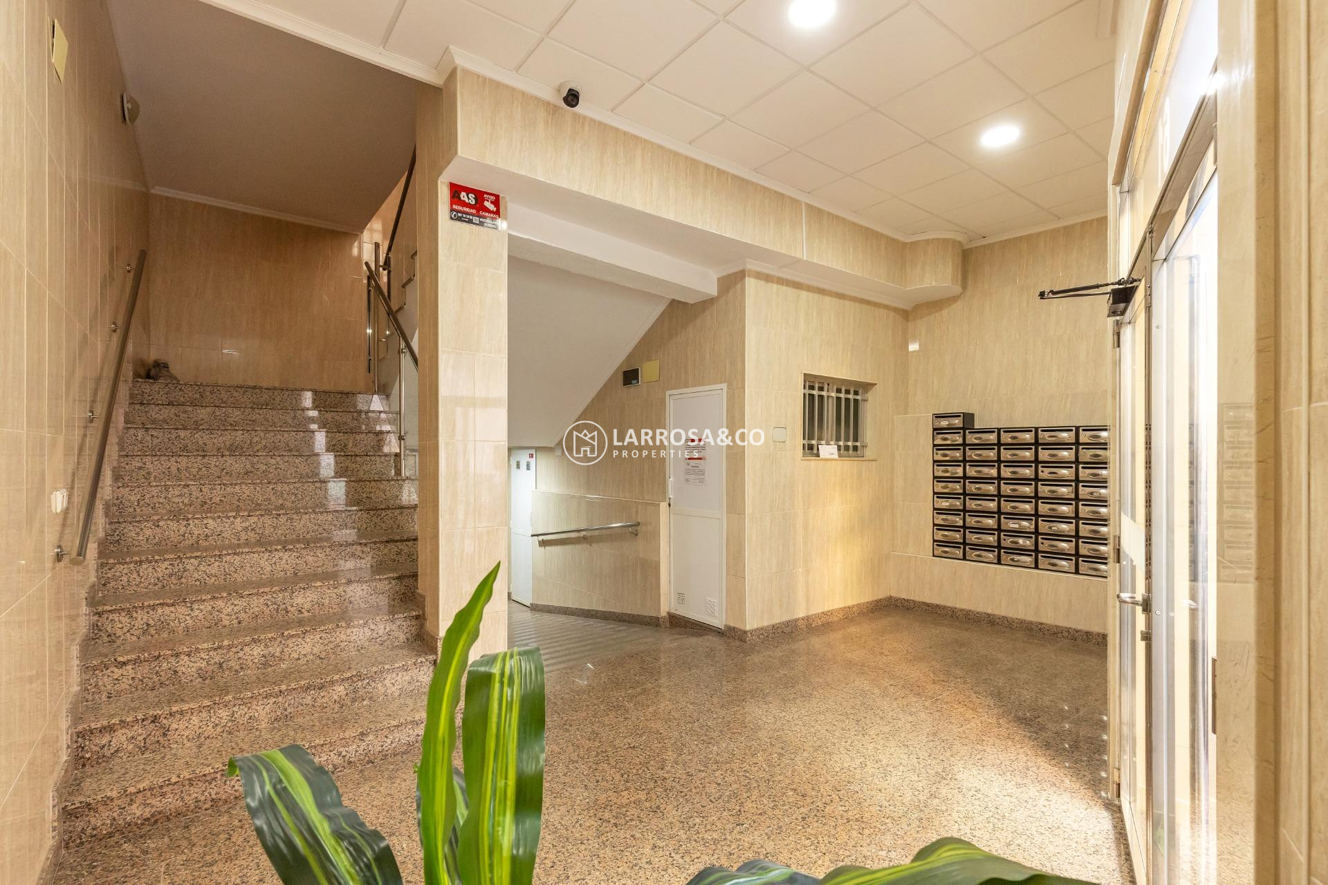 Resale - Apartment - Torrevieja - Habaneras