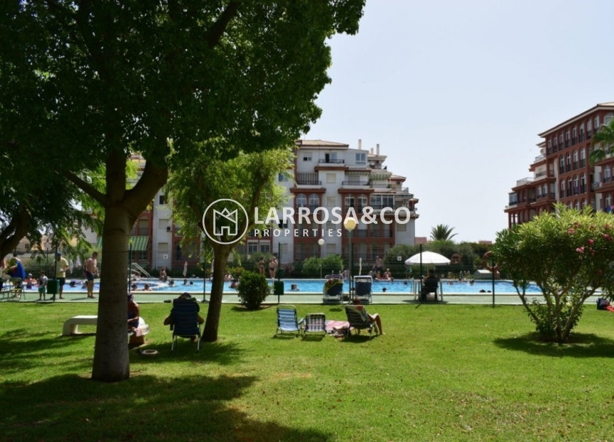 Resale - Apartment - Torrevieja - La Mata