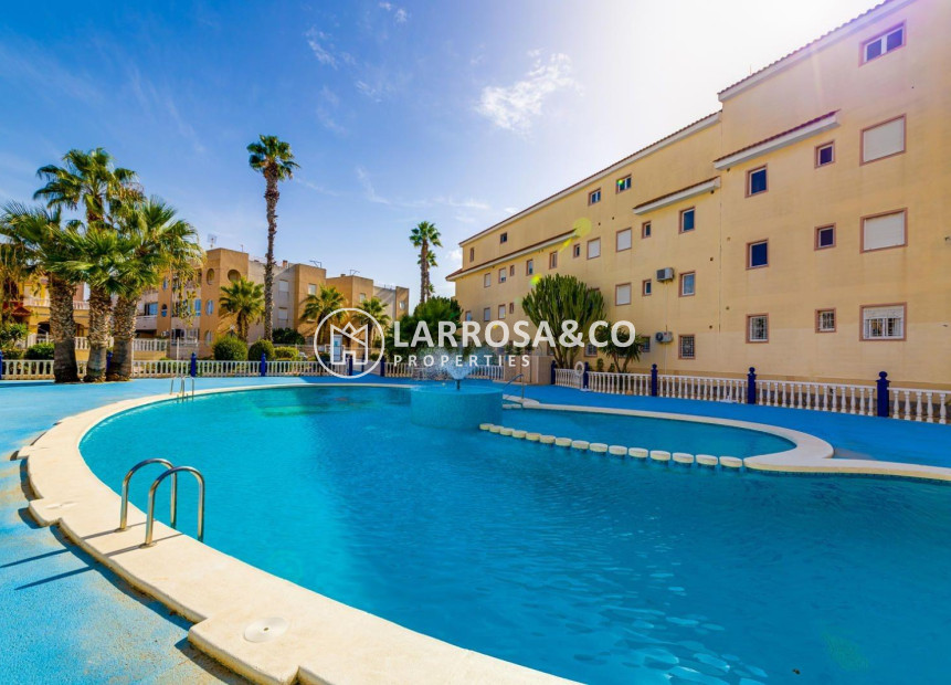 Resale - Apartment - Torrevieja - La Siesta - El Salado - Torreta