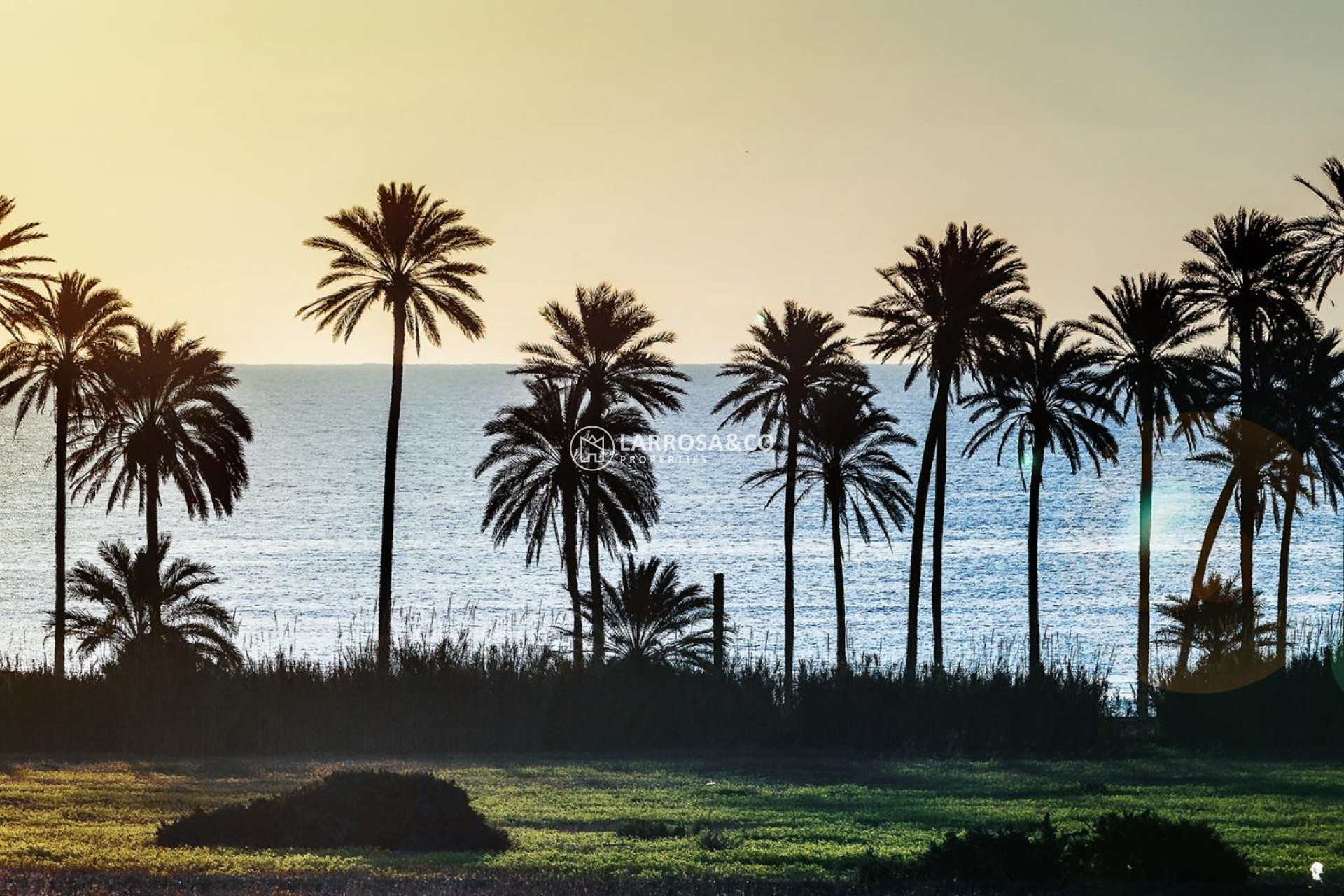 Resale - Apartment - Torrevieja - La veleta