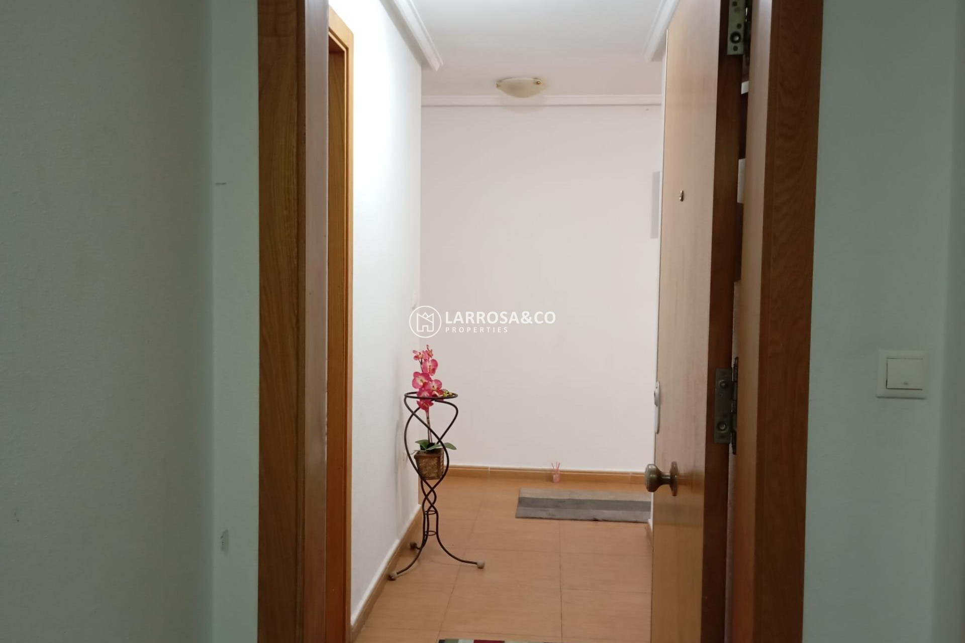 Resale - Apartment - Torrevieja - Los Locos Beach