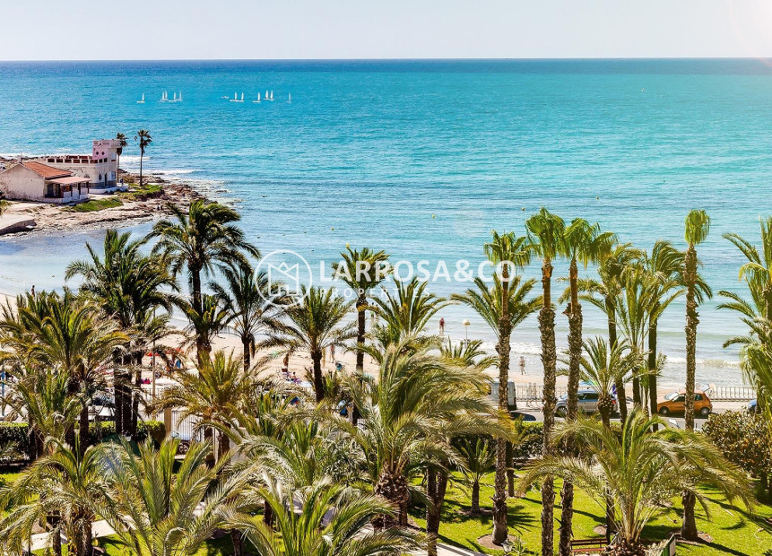 Resale - Apartment - Torrevieja - Los Locos Beach