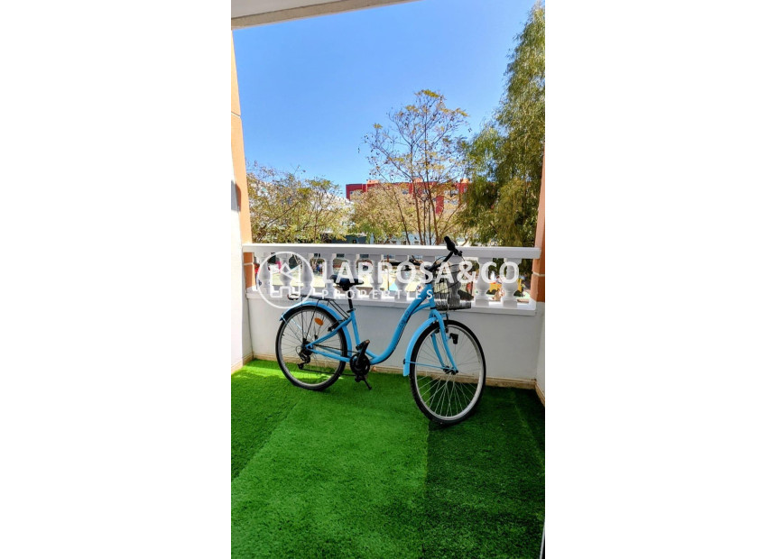 Resale - Apartment - Torrevieja - Los Locos Beach