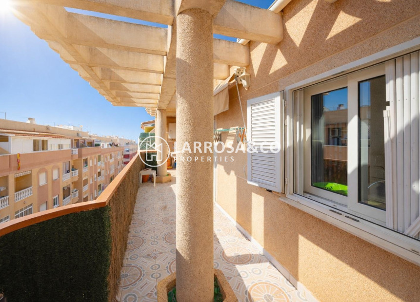 Resale - Apartment - Torrevieja - Parque de las Naciones